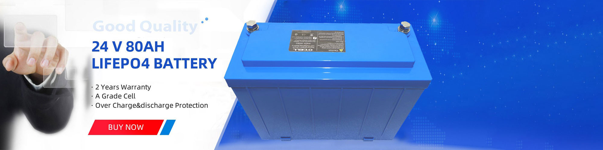 quality Lithium Ion LiFePo4 Battery factory