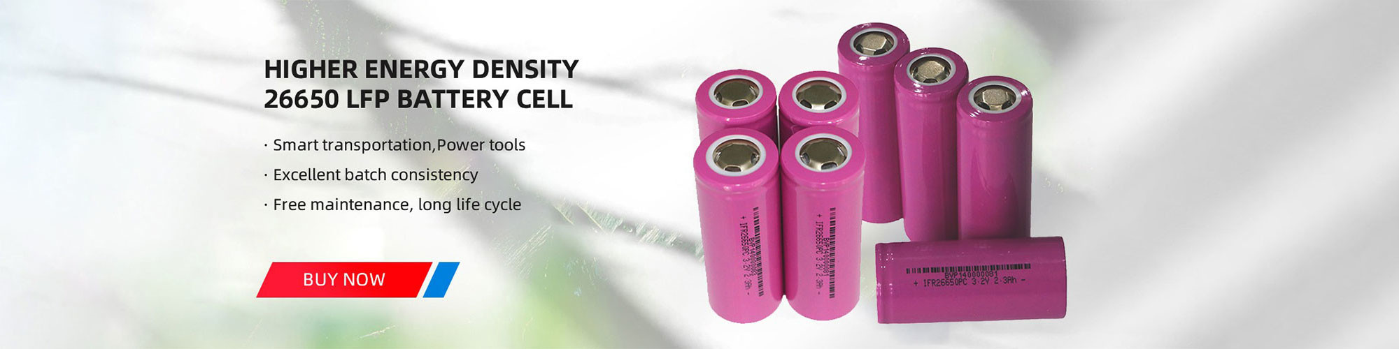 quality Lithium Ion LiFePo4 Battery factory