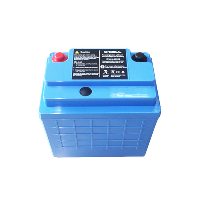 12 van de Batterijpakken van V 40Ah 80Ah LFP de Batterij van de Douaneli ion battery packs 12v 40ah Lifepo4