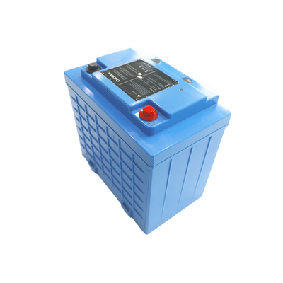 LFP-Batterie 100h 24V LiFePo4-Batteriepackung Wiederaufladbare Lithium-Eisenphosphatbatterie