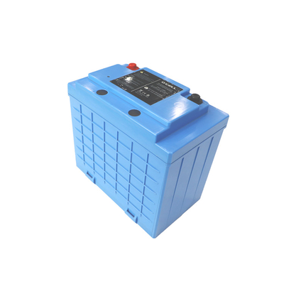 LFP-Batterie 100h 24V LiFePo4-Batteriepackung Wiederaufladbare Lithium-Eisenphosphatbatterie
