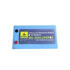 BMS LiFePo4 batterie 48V 60Ah 120Ah batterie au lithium fer phosphate