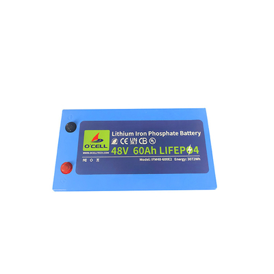 Batteria al litio ferro fosfato da 48 V con sistema BMS, batteria al litio da 48 V