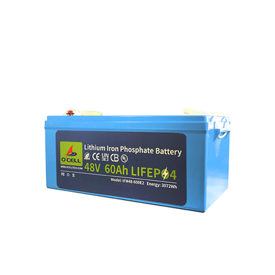 Batteria al litio ferro fosfato da 48 V con sistema BMS, batteria al litio da 48 V