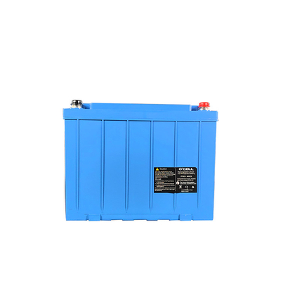 24V 80Ah 160Ah 240Ah Lifepo4 batterie cycle profond 24V batterie au lithium-ion avec Bms