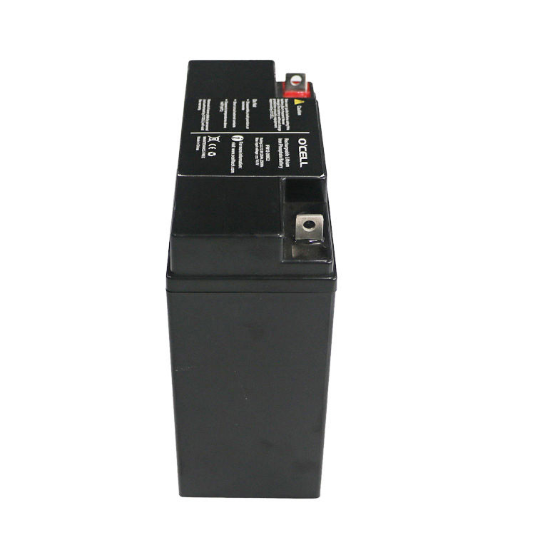 12V 12Ah batteria ricaricabile LFP Intelligent LiFePo4 batteria