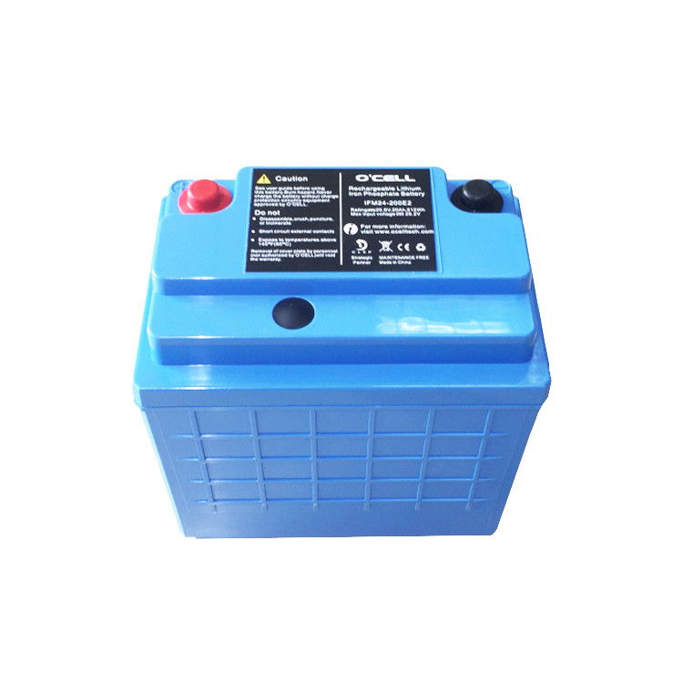 12 la batteria di V 40Ah 80Ah LFP imballa la batteria su ordinazione di Li Ion Battery Packs 12v 40ah Lifepo4