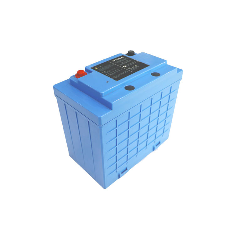 Lifepo4 litio Ion Battery 24v 100ah 50ah ricaricabile