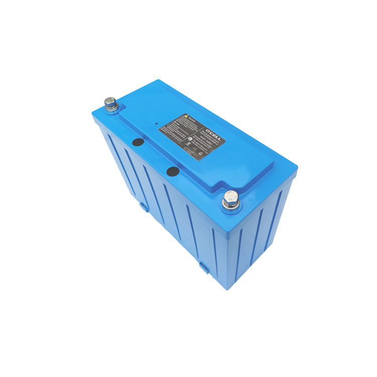 Kundenspezifisches Lithium Ion Battery Deep Cycle 24v 100ah LiFePO4 Batterie-24v