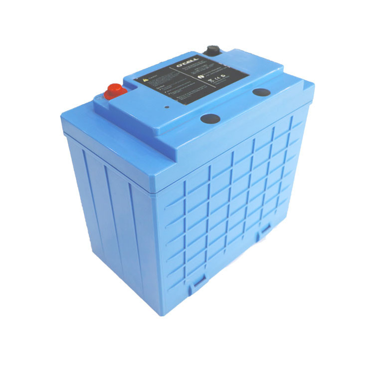 batería de la batería LiFePo4 del fosfato del hierro del litio de 48V 20Ah