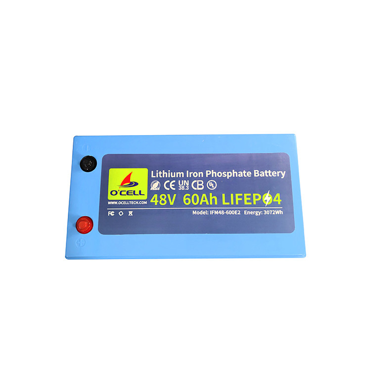 Батарея BMS LiFePo4 48V 60Ah 120Ah Литий-железофосфатная батарея