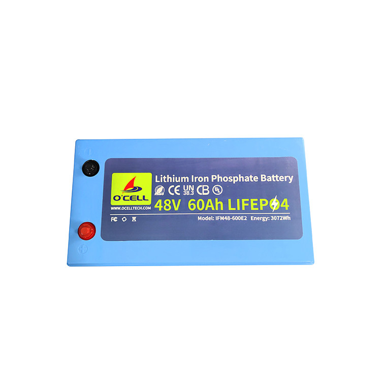 BMS LiFePo4 Battery Pack 48V 60Ah 120Ah Lithium Iron Phosphate Battery Pack