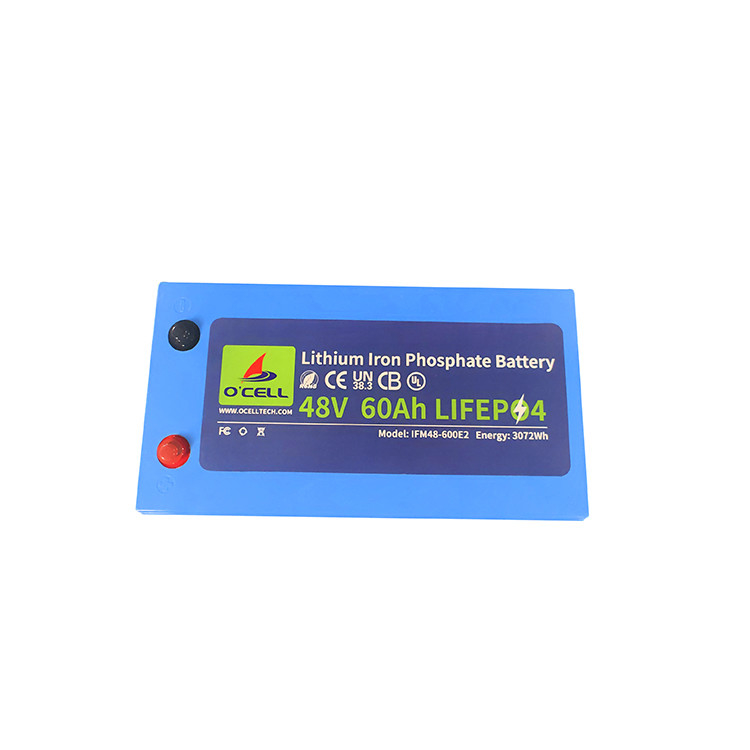 Lifepo4 batteria al litio a ciclo profondo 48V 60Ah 120Ah