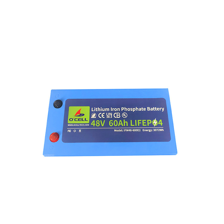 Batteria al litio ferro fosfato da 48 V con sistema BMS, batteria al litio da 48 V