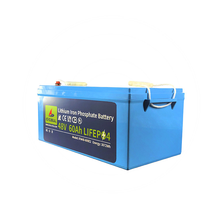 BMS LiFePo4 batterie 48V 60Ah 120Ah batterie au lithium fer phosphate