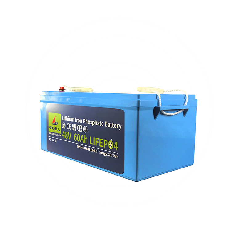 BMS LiFePo4 batterijpakket 48V 60Ah 120Ah Lithium Iron Phosphate batterijpakket